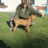 Coudy Vives Bohemia